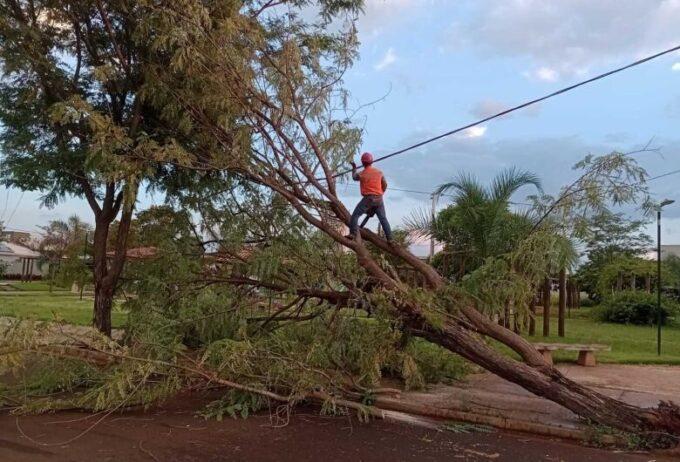 Tempestade atingiu região noroeste de Dourados e retirada de árvores continua neste sábado