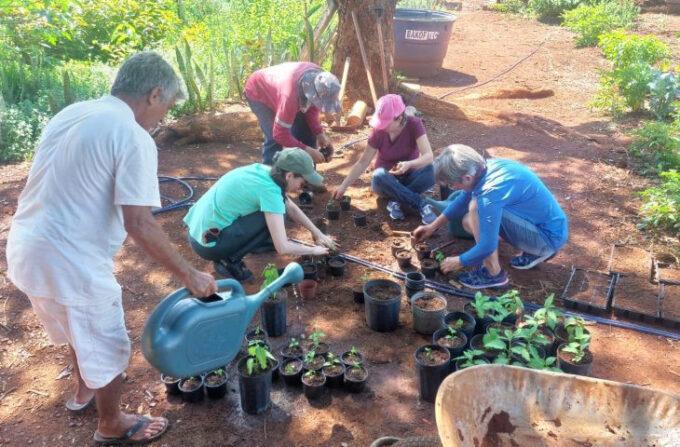 Mato Grosso do Sul avança com a inclusão de fitoterápicos na saúde pública
