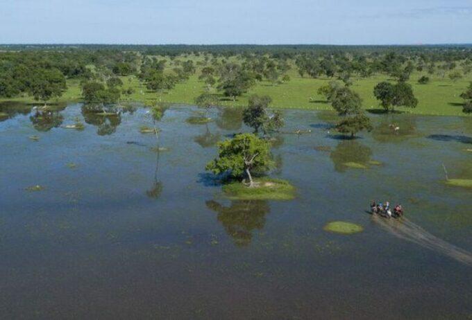 EM 2026, MS SEDIARÁ A COP15 DA CONVENÇÃO SOBRE ESPÉCIES MIGRATÓRIAS