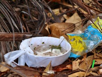 Dengue em MS: 8.252 casos confirmados; investiga 7 mortes