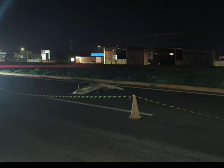 Idoso morre atropelado na MS-156 em Dourados - investigação