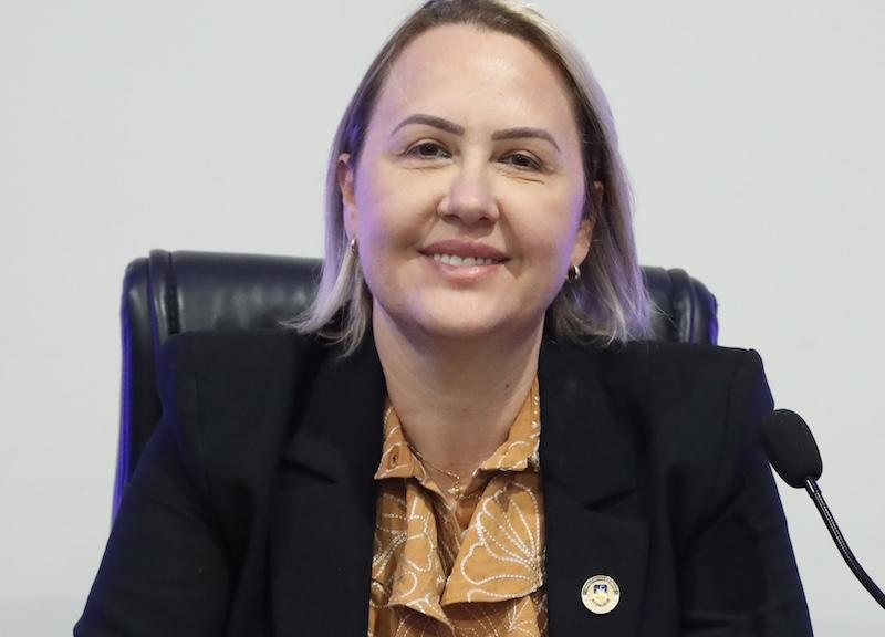 LIANDRA SUGERE PARQUINHO PARA O JEQUITIBÁS NA REGIÃO EM DOURADOS