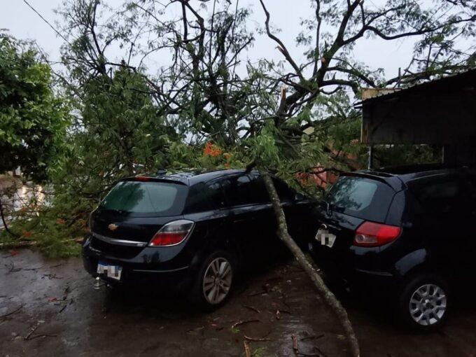Ventos fortes em Dourados causam danos e quedas nesta sexta