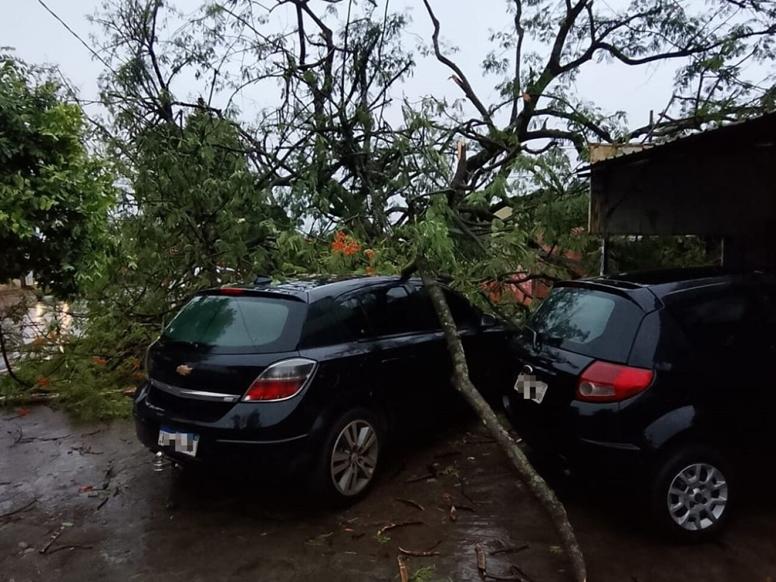Ventos fortes em Dourados causam danos e quedas nesta sexta