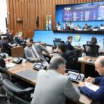 O amor que cuida: Assembleia de Mato Grosso do Sul vota campanhas de combate ao cancro em animais de estimação