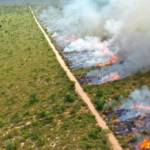 Sob ameaça climática extrema, Mato Grosso do Sul decreta emergência para salvar biomas de incêndios devastadores