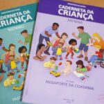Vacinação com a Pneumo 20 pelo SUS começa em duas semanas, diz Padilha